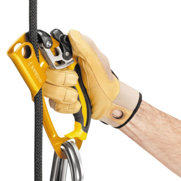Petzl B17ARA ASCENSION Handled Rope Clamp