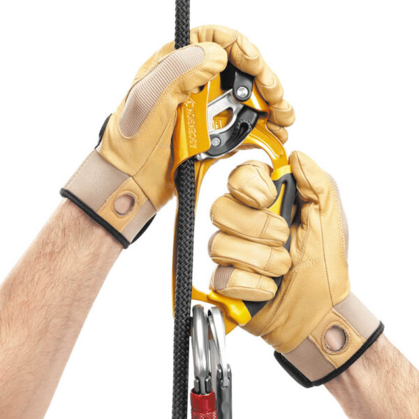 Petzl B17ARA ASCENSION Handled Rope Clamp